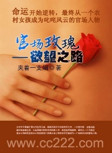 官场玫瑰：欲望之路