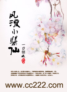 风流小医仙